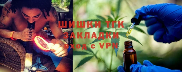 ешки Аркадак